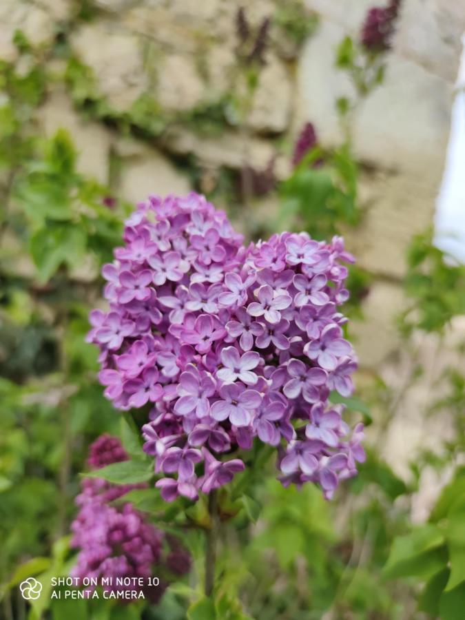 Domaine Des Pres De Joussac - Protocole Sanitaire Strict Villa Jau-Dignac-et-Loirac ภายนอก รูปภาพ